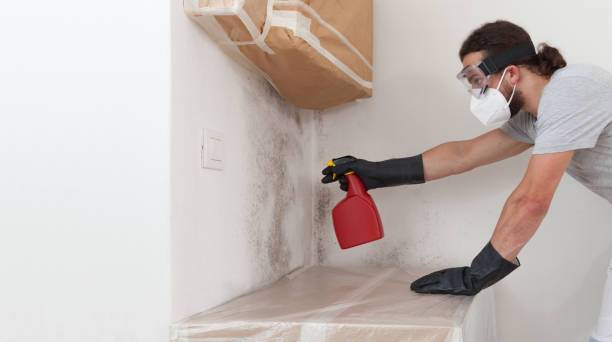 Professional Mold Removal technician working in Lawrence, MA