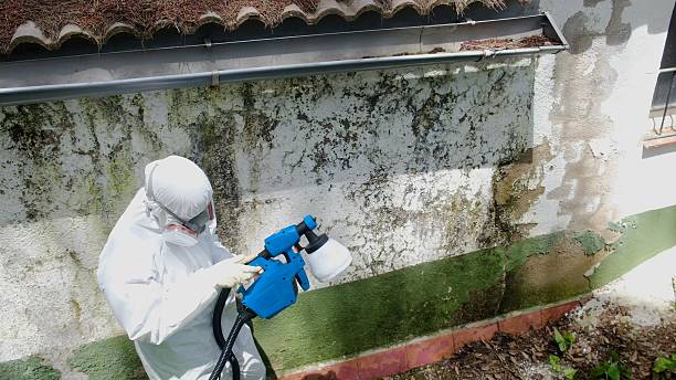 Trusted Bathroom Mold Removal service in Lawrence, MA - Cheap Mold Removal